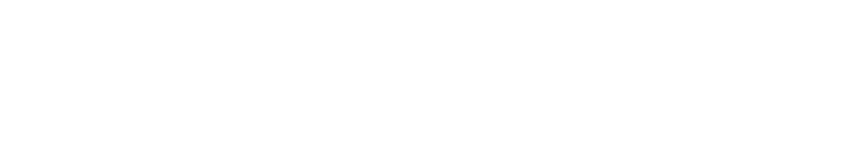 Elecom